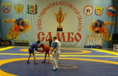 Донские борцы завоевали 12 медалей на Кубке губернатора Ростовской области по самбо